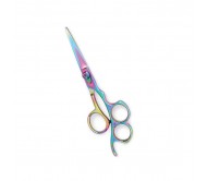 Professional Hair Cutting Scissors